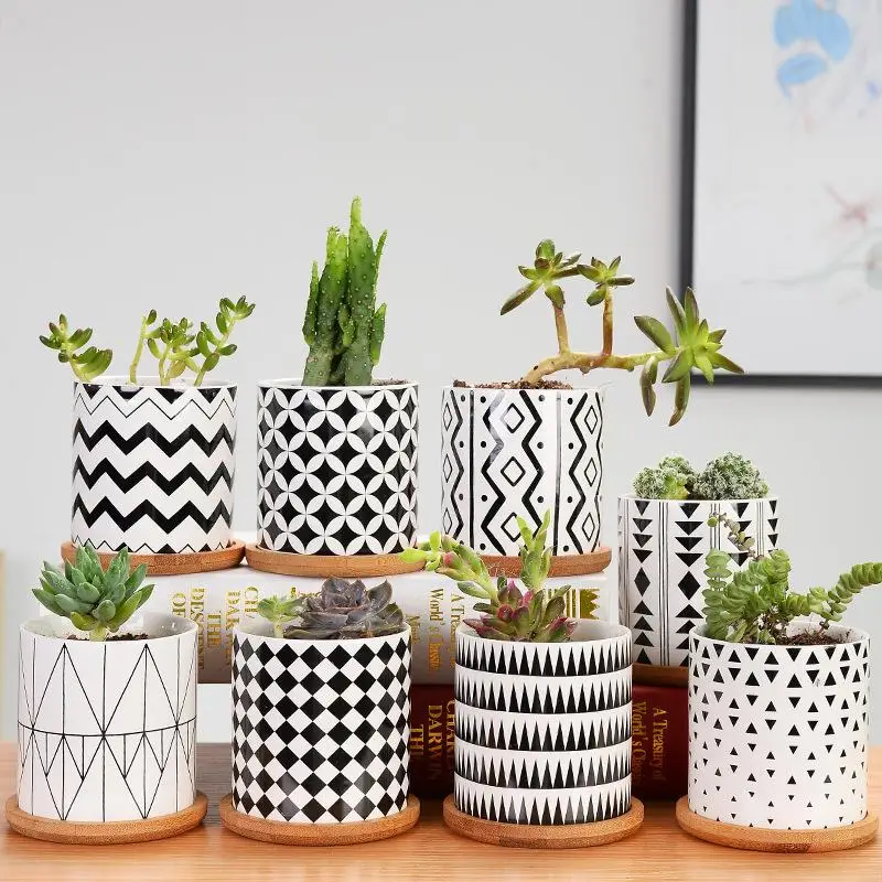 1 Pc Ceramics Flower Vase Nordic Style Flowerpot Succulent Planter Green Plants Cylindrical Shape Flower Pot With Hole Tray 
1 Pc Ceramics Flower Vase Nordic Style Flowerpot Succulent Planter Green Plants Cylindrical Shape Flower Pot With Hole Tray