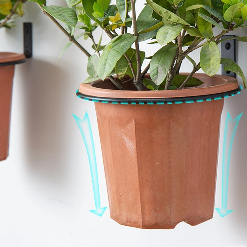 Flower Pot Trays Ring Balcony Wall Mounted Pot Ring Holder Folding Metal Planter Stand Tray Flower Pot Tray
Flower Pot Trays Ring Balcony Wall Mounted Pot Ring Holder Folding Metal Planter Stand Tray Flower Pot Tray