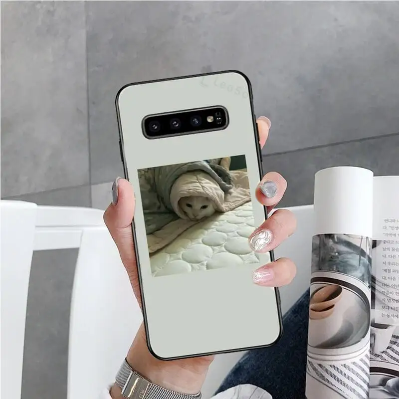 Cute Cats Phone Case For Samsung S6 S7 edge S8 S9 S10 e plus A10 A50 A70 note8 J7 2017
Cute Cats Phone Case For Samsung S6 S7 edge S8 S9 S10 e plus A10 A50 A70 note8 J7 2017