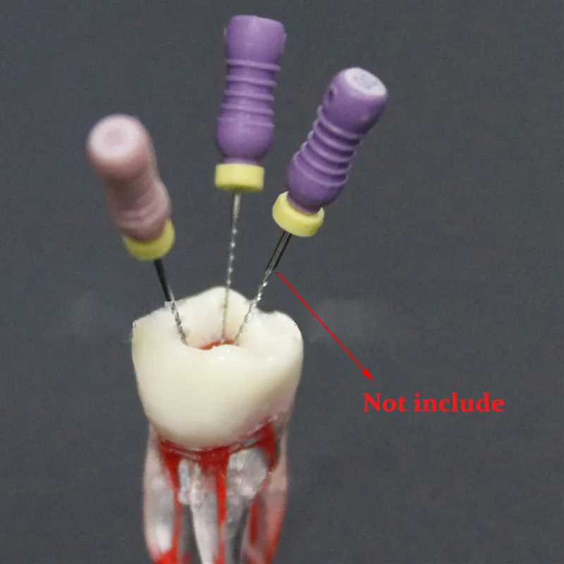 1 шт. зубной Зуб модель стоматологический Медуллярный корневой канал RCT практика