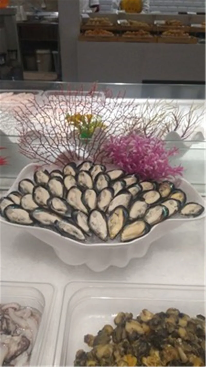 Японский ресторанный магазин отеля лосось сашими суши посуда для морепродуктов