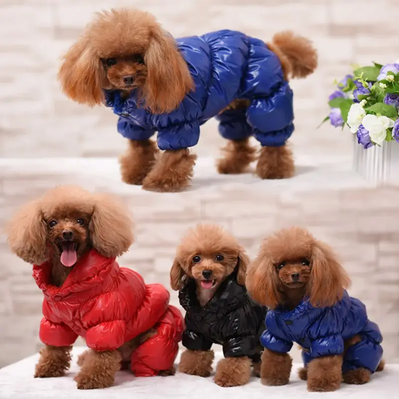 Warm Winter Dog Clothes Collar Windproof Overalls for Dogs Down Coat Waterproof Thicken Parka Dog Jumpsuit Puppy Outfit CUTE
Warm Winter Dog Clothes Collar Windproof Overalls for Dogs Down Coat Waterproof Thicken Parka Dog Jumpsuit Puppy Outfit CUTE
