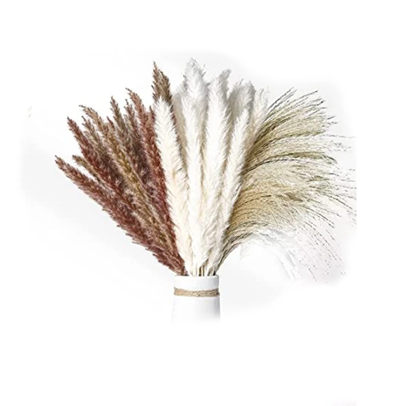60Pcs Natural Dried Pampas Grass -17.5Inch Fluffy Dry Pampas Bouquets for Home Decor Wedding Boho Flower Arrangement
60Pcs Natural Dried Pampas Grass -17.5Inch Fluffy Dry Pampas Bouquets for Home Decor Wedding Boho Flower Arrangement