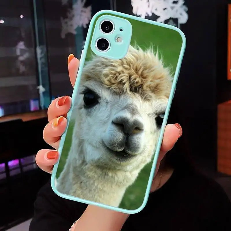 Lama Llama Alpacas Animal Phone Case For iPhone 12 11 Mini Pro XR XS Max 7 8 Plus X Matte transparent blue Cover
Lama Llama Alpacas Animal Phone Case For iPhone 12 11 Mini Pro XR XS Max 7 8 Plus X Matte transparent blue Cover