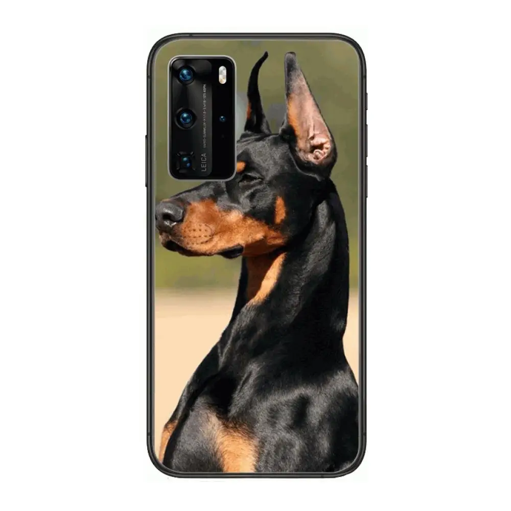 Doberman Louis. Duberman Phone Case For Huawei P 40 30 20 10 9 8 Lite E Pro Plus Black Etui Coque Painting Hoesjes comic fashio
Doberman Louis. Duberman Phone Case For Huawei P 40 30 20 10 9 8 Lite E Pro Plus Black Etui Coque Painting Hoesjes comic fashio