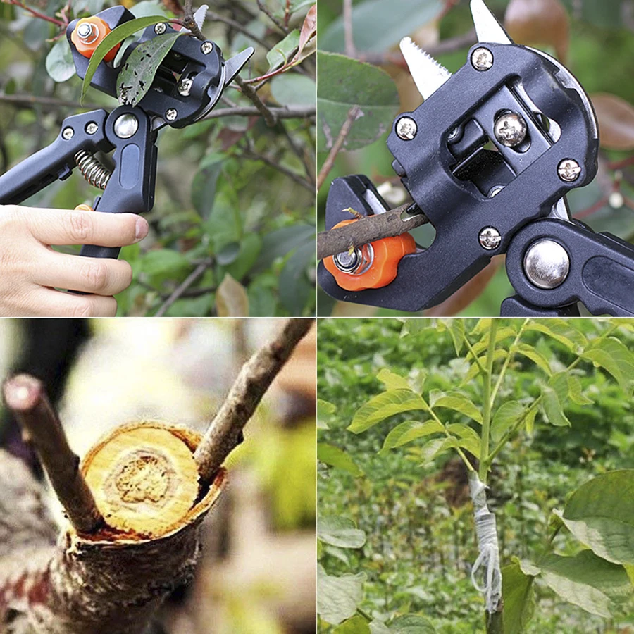 New Grafting Pruner Garden Tools 2 in 1 Pruning Shear Grafting Scissor Fruit Tree Plant Graft Tool Cutting Vaccination Secateurs
New Grafting Pruner Garden Tools 2 in 1 Pruning Shear Grafting Scissor Fruit Tree Plant Graft Tool Cutting Vaccination Secateurs