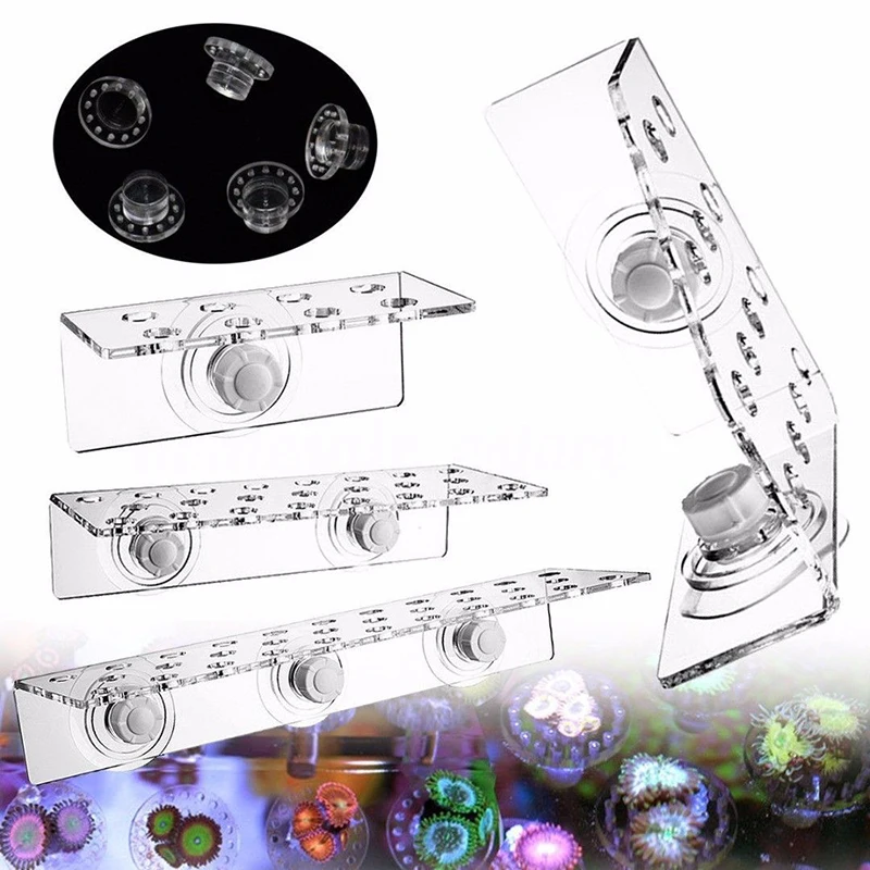 Aquarium Fish Tank Acrylic Coral Rack Marine Reef Frag Support Holder Water Plant Stand Support Aquarium Accessories
Aquarium Fish Tank Acrylic Coral Rack Marine Reef Frag Support Holder Water Plant Stand Support Aquarium Accessories