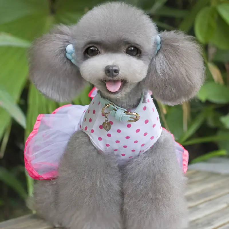 Comfortable Pet Puppy Lace Dress Dogs Dot Short Princess Skirt Cherry Pattern Dogs Party Dresses Chihuahua Dog Wedding Dress
Comfortable Pet Puppy Lace Dress Dogs Dot Short Princess Skirt Cherry Pattern Dogs Party Dresses Chihuahua Dog Wedding Dress