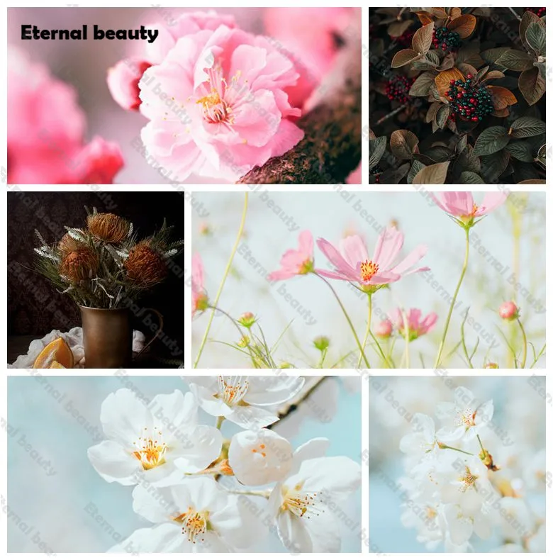 Peach Blossom 5D Diamond Painting Diy Full Round/Square Diamond Embroidery Kits Diamond Mosaic Home Wall Decoration Handcrafts
Peach Blossom 5D Diamond Painting Diy Full Round/Square Diamond Embroidery Kits Diamond Mosaic Home Wall Decoration Handcrafts