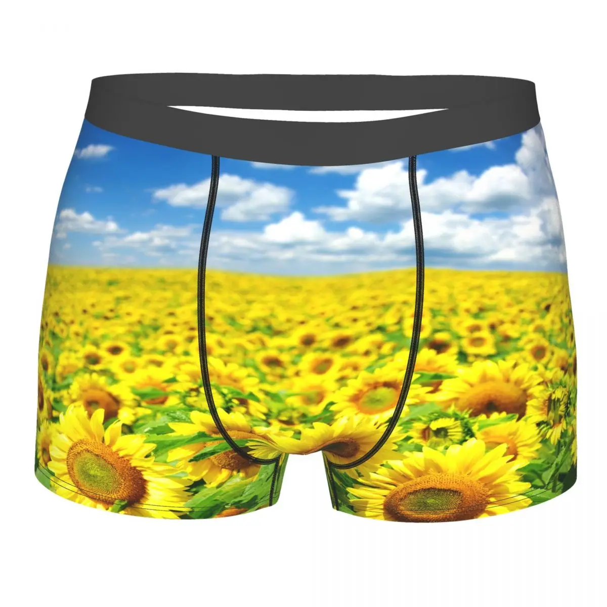 Мужские боксеры, нижнее белье, летние трусы с принтом бабочки, подсолнуха, трусы для мальчиков
Мужские боксеры, нижнее белье, летние трусы с принтом бабочки, подсолнуха, трусы для мальчиков