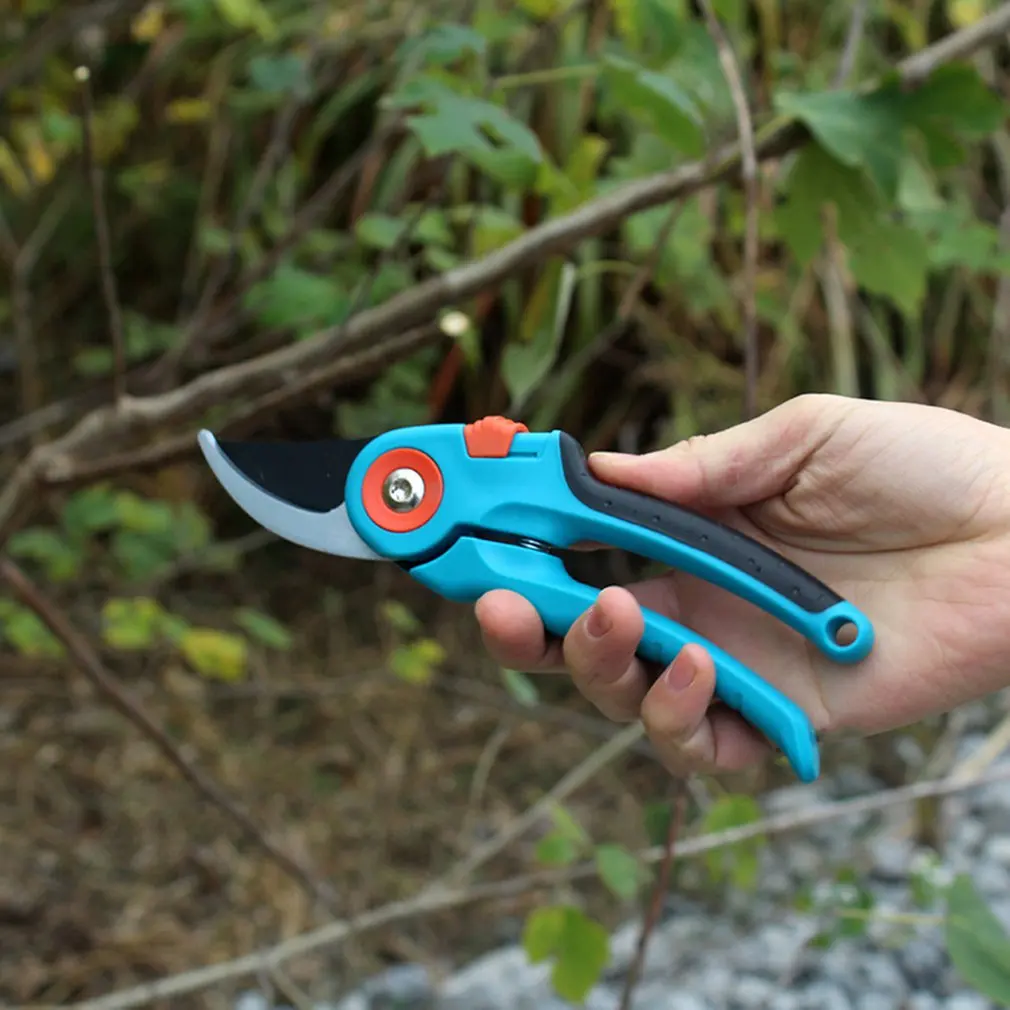 Pruning Garden Scissors With ABS Handle Fruit Trees And Gardening Supplies pruning Tool Gardening Tool
Pruning Garden Scissors With ABS Handle Fruit Trees And Gardening Supplies pruning Tool Gardening Tool