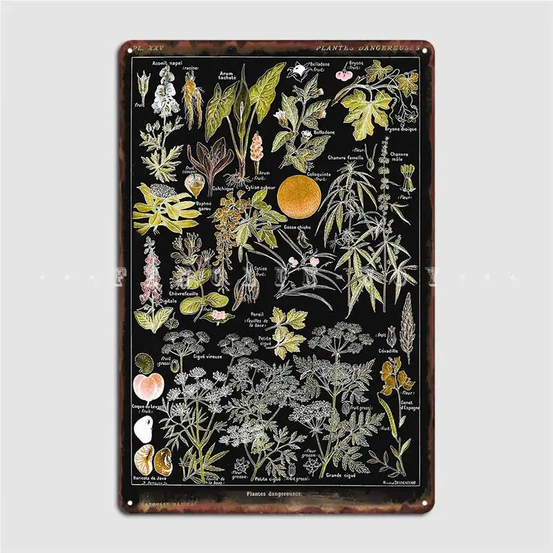 Adolphe Millot Plantes Dangereuses B Dangerous Plants Metal Sign Wall Decor Wall Pub Design Pub Garage Tin Sign Poster
Adolphe Millot Plantes Dangereuses B Dangerous Plants Metal Sign Wall Decor Wall Pub Design Pub Garage Tin Sign Poster
