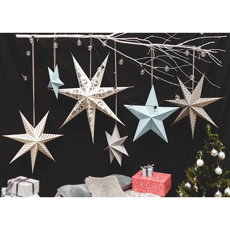 SHENGYONGBAO Vinyl Custom Photography Backdrops Christmas day Theme Photography Background 91106DJ-23
SHENGYONGBAO Vinyl Custom Photography Backdrops Christmas day Theme Photography Background 91106DJ-23