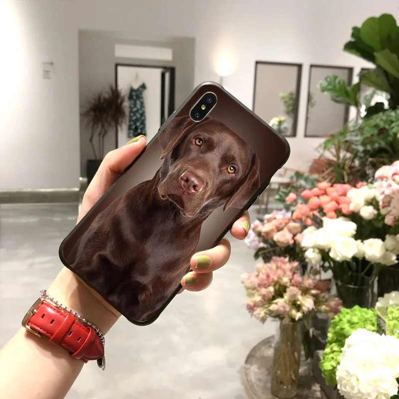 Black cute labrador dog Phone Case For Iphone XR X 8 7 6 plus Fashion Cute Cover Apple XS 11 Pro Max SE 2020
Black cute labrador dog Phone Case For Iphone XR X 8 7 6 plus Fashion Cute Cover Apple XS 11 Pro Max SE 2020