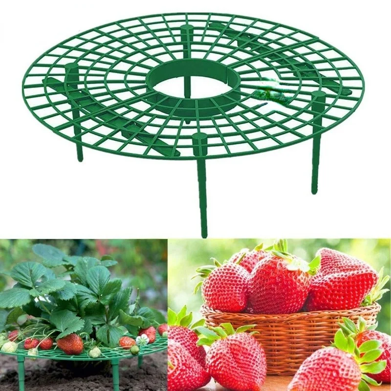 Strawberry Stand Frame Holder Balcony Planting Rack Fruit Support Plant Flower Climbing Vine Pillar Gardening Stand Tools
Strawberry Stand Frame Holder Balcony Planting Rack Fruit Support Plant Flower Climbing Vine Pillar Gardening Stand Tools