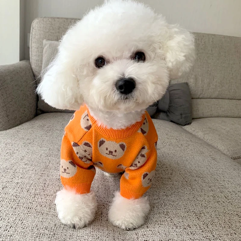 Kawaii Bear Dog Sweaters Orange Dog Clothes Chihuahua Sweater Pomeranian Hoodie Winter Korean Style Dog Clothing Pets Costumes
Kawaii Bear Dog Sweaters Orange Dog Clothes Chihuahua Sweater Pomeranian Hoodie Winter Korean Style Dog Clothing Pets Costumes