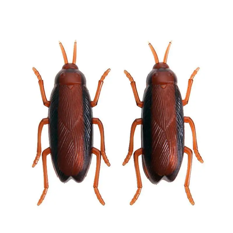 Cockroaches Pet Cat Dog Pet Toy Pets Kitten Interactive Cockroach Training April Fool'S Day Funny Cats Of Simulation
Cockroaches Pet Cat Dog Pet Toy Pets Kitten Interactive Cockroach Training April Fool'S Day Funny Cats Of Simulation