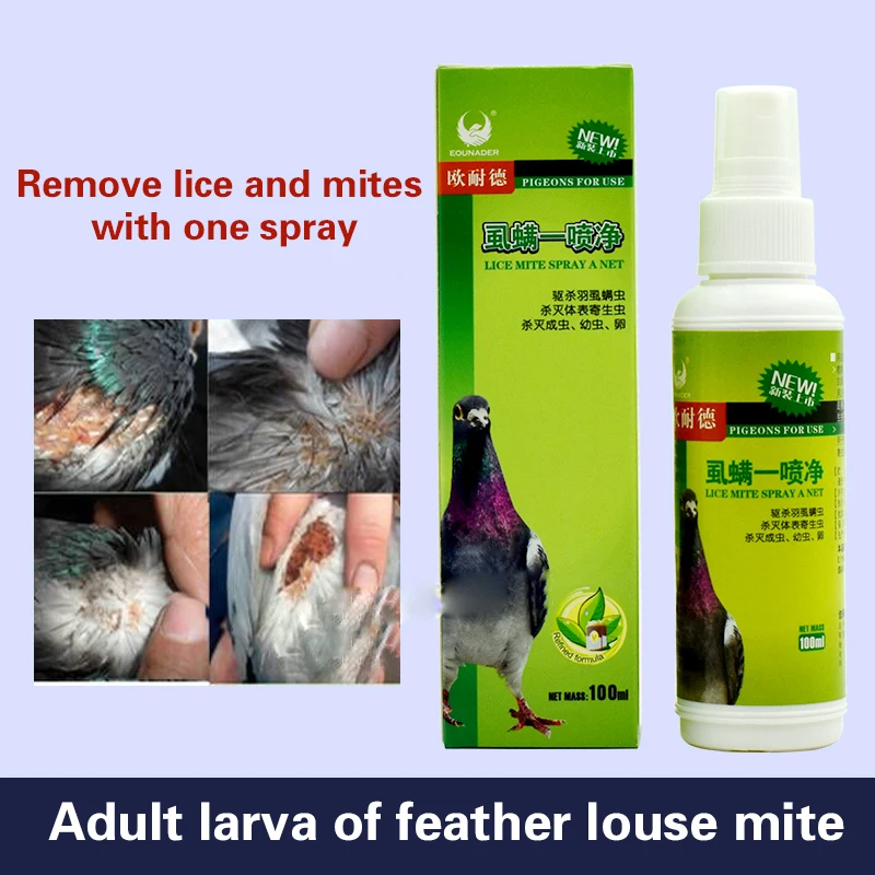 Lice mites a spray clean letter pigeon mites in addition to feather lice clean pigeon feathers insecticide 100ml
Lice mites a spray clean letter pigeon mites in addition to feather lice clean pigeon feathers insecticide 100ml