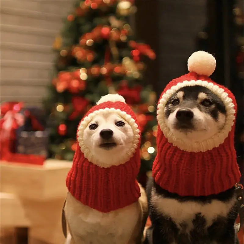Christmas Knitted Pets Store Warm Lovely Dog Hats For Pets Cats Winter Warm Knitting Dog Cap Dog Beanie For Puppies Kittens U3
Christmas Knitted Pets Store Warm Lovely Dog Hats For Pets Cats Winter Warm Knitting Dog Cap Dog Beanie For Puppies Kittens U3