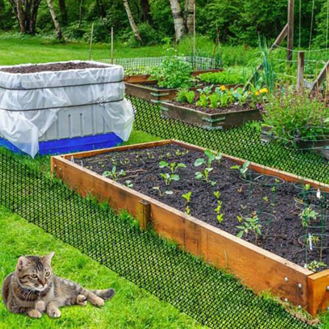 200x30cm Cat Scat Mat Anti-Cat Pest Prickle Strip Network Digging Stopper Portable Anti-Cat Dog Outdoor Garden Supplies
200x30cm Cat Scat Mat Anti-Cat Pest Prickle Strip Network Digging Stopper Portable Anti-Cat Dog Outdoor Garden Supplies