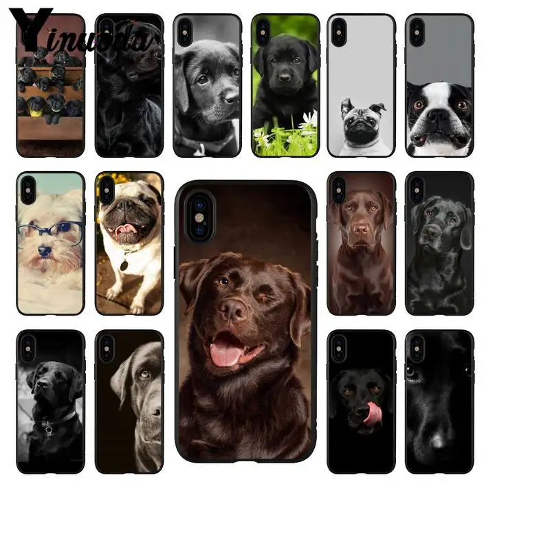 Labrador dog Phone Case Cover for iphone 13 11 Pro XR se2020 samsung a30 s s8 huawei nova7pro p30lite redmi note8pro
Labrador dog Phone Case Cover for iphone 13 11 Pro XR se2020 samsung a30 s s8 huawei nova7pro p30lite redmi note8pro