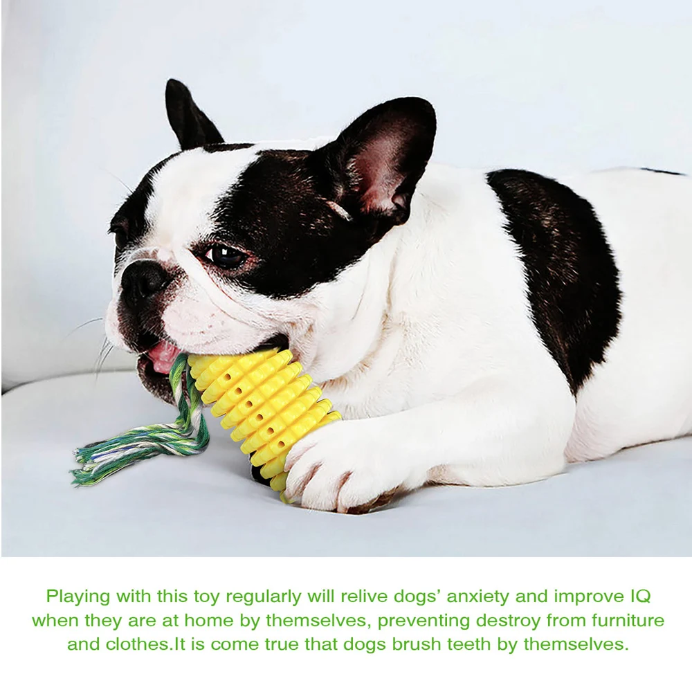Rubber Dog Chew Toys Dog Toothbrush Teeth Cleaning Toy Dog Pet Toothbrushes Brushing Stick Pet Cat Toy Supplies Goods for pets 
Rubber Dog Chew Toys Dog Toothbrush Teeth Cleaning Toy Dog Pet Toothbrushes Brushing Stick Pet Cat Toy Supplies Goods for pets