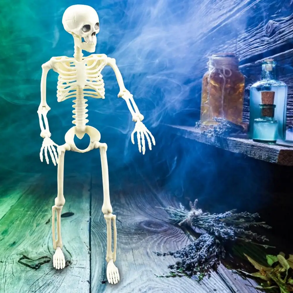 16-Inch Halloween Skeleton Ghost Festival Movable Skull Decoration Horror Props Human Body Big Skeleton Masquerade Move Props
16-Inch Halloween Skeleton Ghost Festival Movable Skull Decoration Horror Props Human Body Big Skeleton Masquerade Move Props