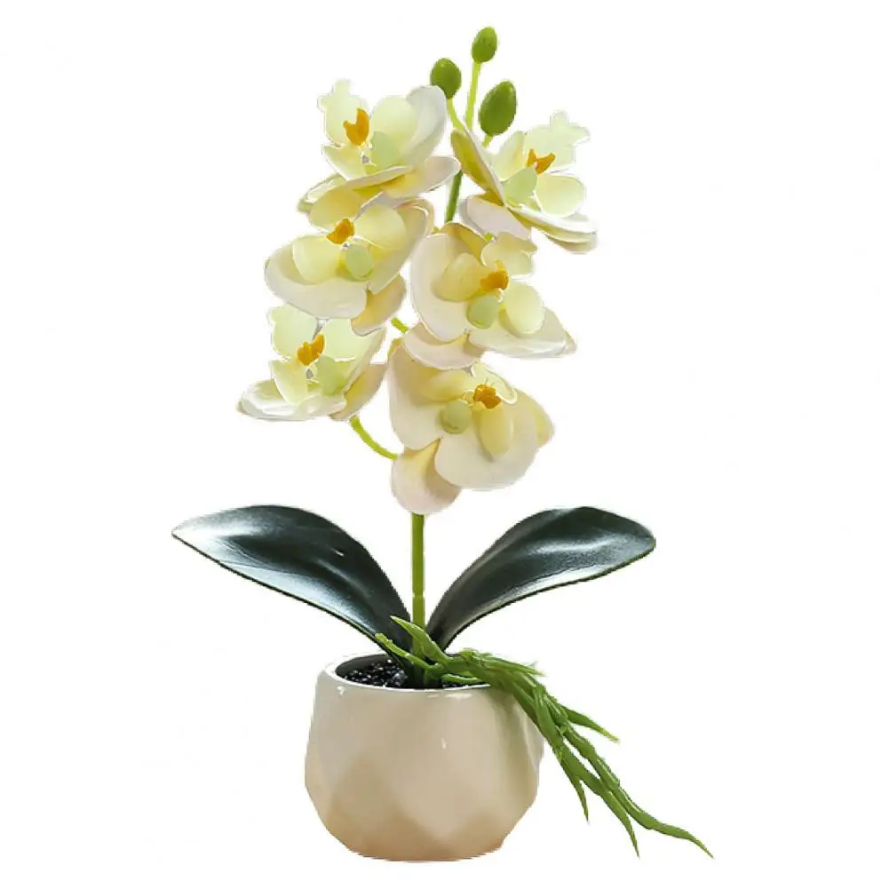 Pretty Mini Attractive Wide Application Flower Planter for Hotel Artificial Potted Plant Artificial Flower Bonsai
Pretty Mini Attractive Wide Application Flower Planter for Hotel Artificial Potted Plant Artificial Flower Bonsai