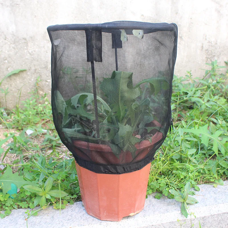3Pcs Plant Net Cover Protective Zipper Mesh Net Bag Garden Plant Cover Fruit Protection Garden Cover Garden Accessories New
3Pcs Plant Net Cover Protective Zipper Mesh Net Bag Garden Plant Cover Fruit Protection Garden Cover Garden Accessories New