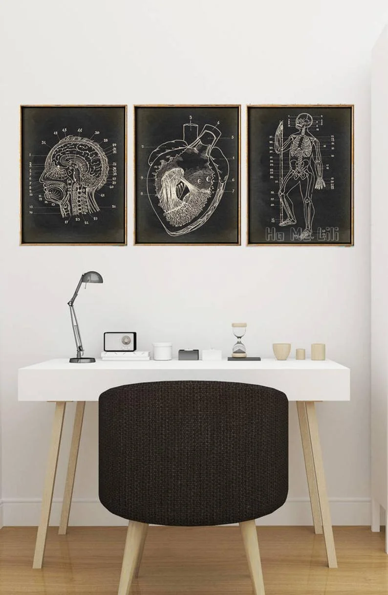Anatomy, Heart, Brain, Skeleton, Medical Oil Painting, Canvas, Engraving, Interior Art Decoration
Anatomy, Heart, Brain, Skeleton, Medical Oil Painting, Canvas, Engraving, Interior Art Decoration