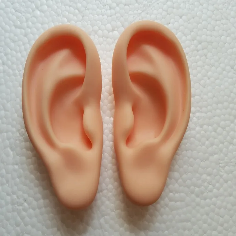 

human anatomical anatomy model silicone ear acupuncture practice model right and left Teaching tools medical science