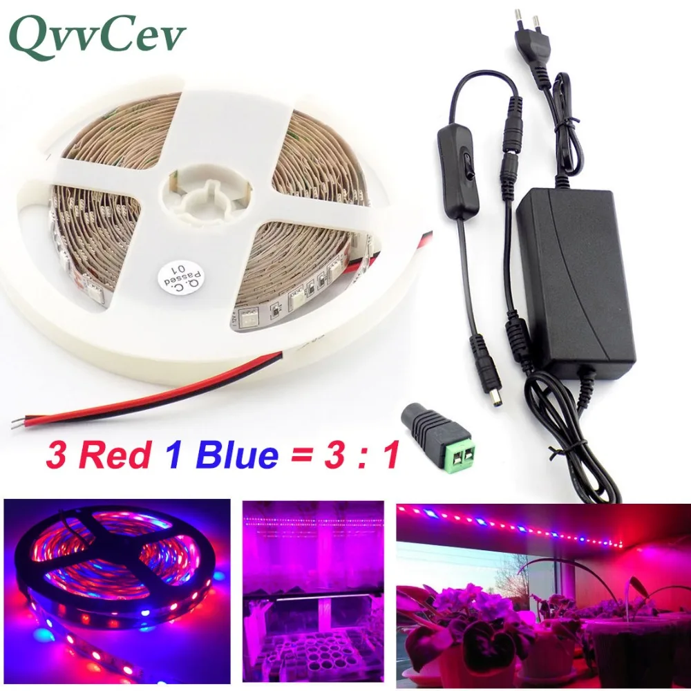 

Qvvcev Waterproof Led Strip Grow Light Growing Plant Lamp 3 Red 1 Blue lights 2M 3M 5M DC12V 2A/3A SMD5050 Power Adapter+Switch