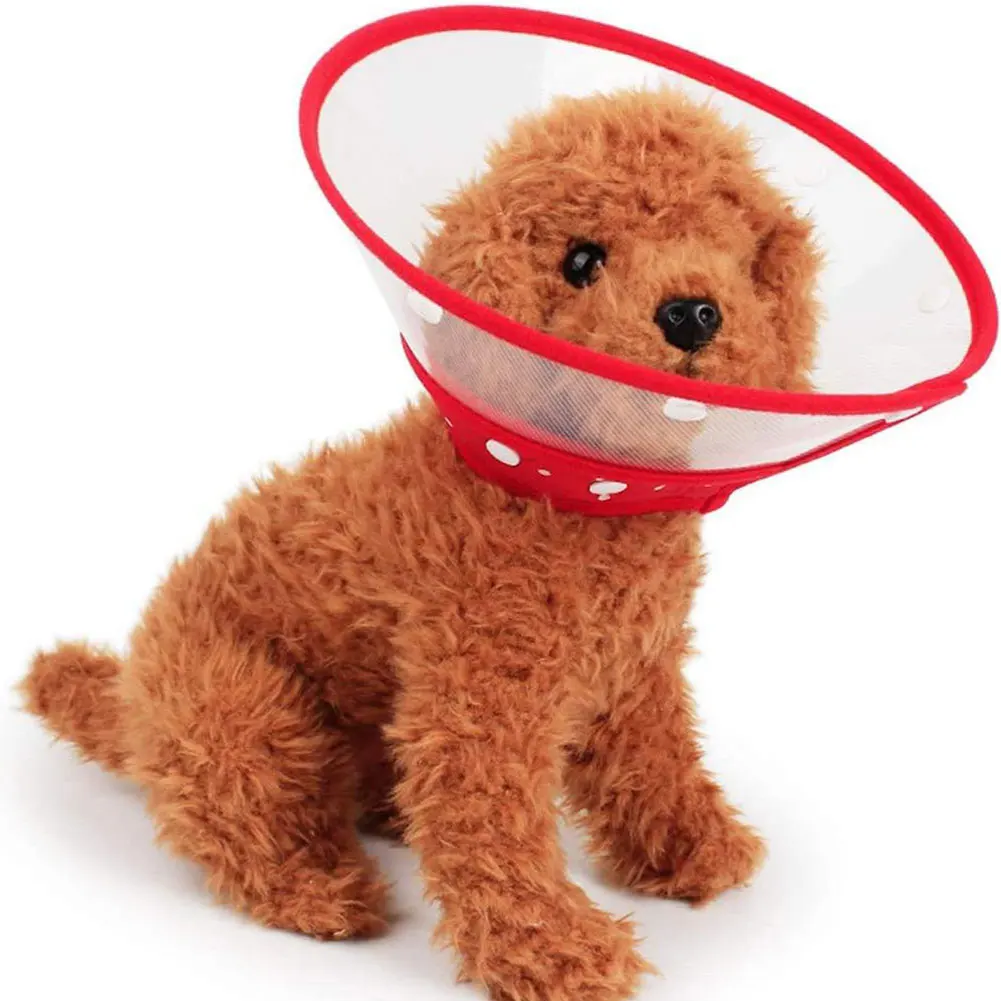 Cat Elizabethan Collar Transparent Pet Wound Healing Protect Cover Neck Cone Recovery Circle Anti Bite Lick Dog Medical Collars
Cat Elizabethan Collar Transparent Pet Wound Healing Protect Cover Neck Cone Recovery Circle Anti Bite Lick Dog Medical Collars