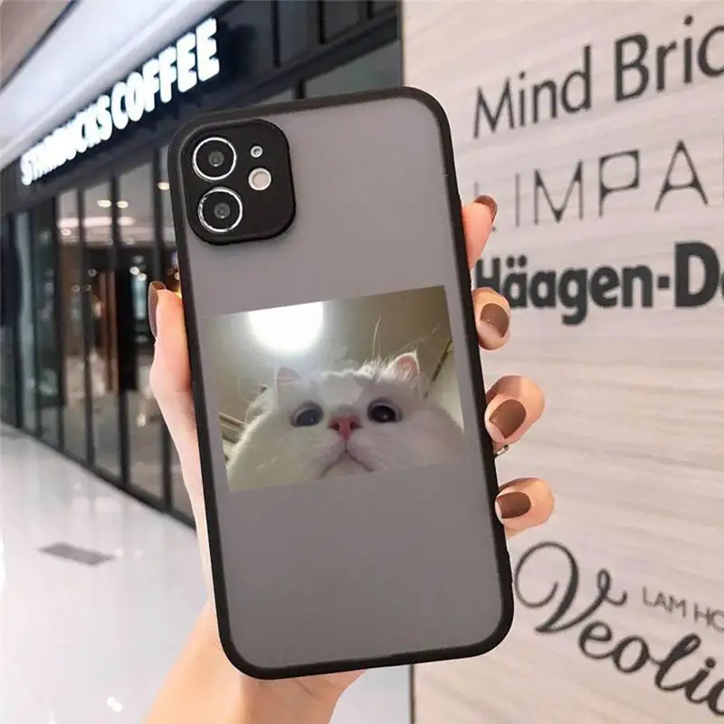 Cute Cats New Year Gifts Phone Case Matte Transparent for iPhone 7 8 11 12 s mini pro X XS XR MAX Plus cover funda
Cute Cats New Year Gifts Phone Case Matte Transparent for iPhone 7 8 11 12 s mini pro X XS XR MAX Plus cover funda