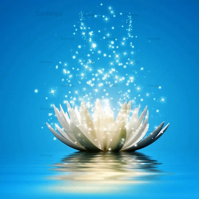 5D Diy Diamond Painting Full Flower Lotus Diamond Embroidery Decorative Paintings Cross Stitch Kits Handicraft Needlework Art
5D Diy Diamond Painting Full Flower Lotus Diamond Embroidery Decorative Paintings Cross Stitch Kits Handicraft Needlework Art
