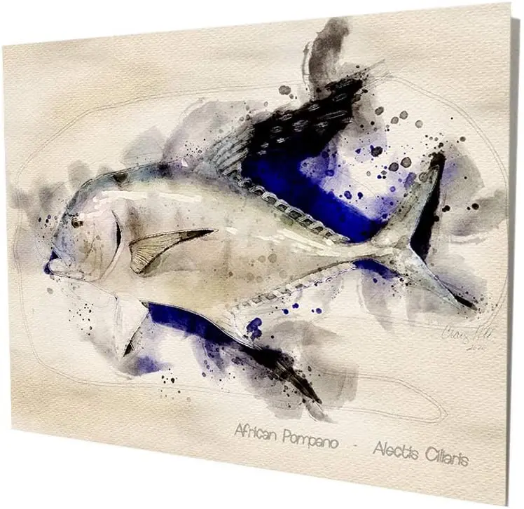 Brotherhood African Pmpano FishSaltwater Deep Sea Fishing Gifts Fishing Water Color Design Vintage Style Metal Signs Metal
Brotherhood African Pmpano FishSaltwater Deep Sea Fishing Gifts Fishing Water Color Design Vintage Style Metal Signs Metal