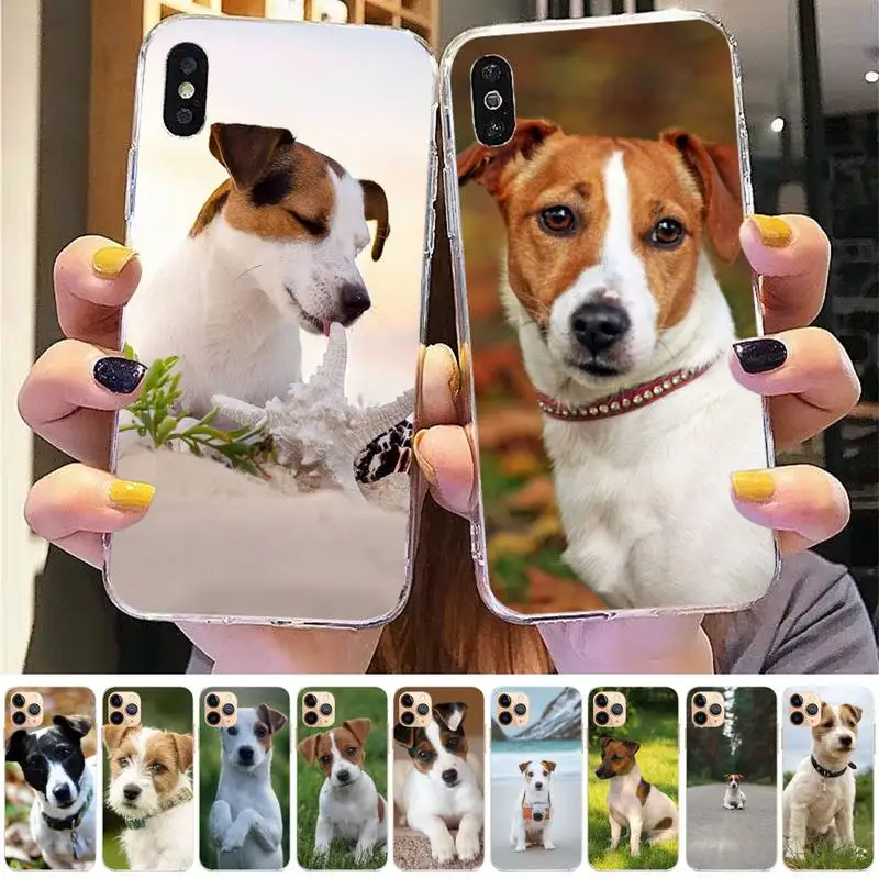 Jack Russell Terrier Phone Case for iphone 13 8 7 6 6S Plus X 5S SE 2020 XR 11 12 pro XS MAX
Jack Russell Terrier Phone Case for iphone 13 8 7 6 6S Plus X 5S SE 2020 XR 11 12 pro XS MAX
