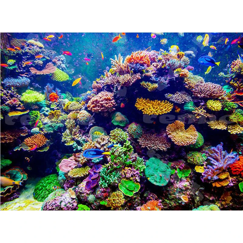 Full Square Diamond Painting Underwater Sea Fish Coral Reefs 5D DIY Cross Stitch Diamond Embroidery Rhinestone Mosaic Art
Full Square Diamond Painting Underwater Sea Fish Coral Reefs 5D DIY Cross Stitch Diamond Embroidery Rhinestone Mosaic Art