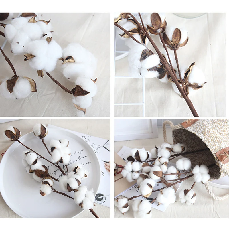 Artificial Flowers Kapok Cotton Naturally Dried Cotton Wedding Party DIY Home Decor Fake Flower Art Christmas Decoration
Artificial Flowers Kapok Cotton Naturally Dried Cotton Wedding Party DIY Home Decor Fake Flower Art Christmas Decoration