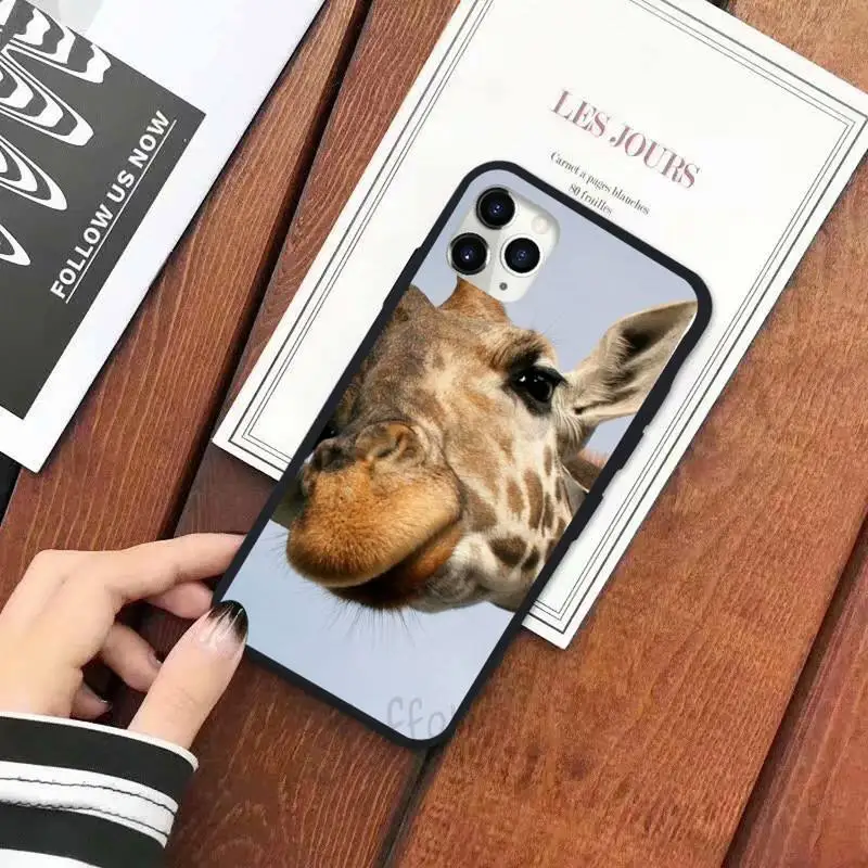 giraffe animal high quality cover fashion Phone Case for iPhone 11 12 pro XS MAX 8 7 6 6S Plus X 5S SE 2020 XR
giraffe animal high quality cover fashion Phone Case for iPhone 11 12 pro XS MAX 8 7 6 6S Plus X 5S SE 2020 XR