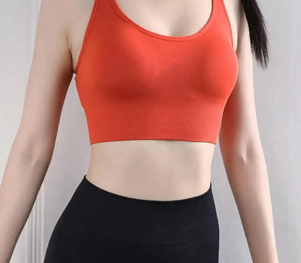 Yoga Bra Women Shockproof Breathable Gym Crop Top Workout Running Fitness Top For Yoga Seamless Quick Dry Elastic Gym Sports Bra 
Yoga Bra Women Shockproof Breathable Gym Crop Top Workout Running Fitness Top For Yoga Seamless Quick Dry Elastic Gym Sports Bra