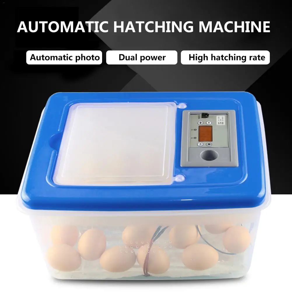 Automatic Egg Incubator Automatic Temperature Control Machine Chicken Duck Egg Hatcher Electronic Incubator Brooder Tools 
Automatic Egg Incubator Automatic Temperature Control Machine Chicken Duck Egg Hatcher Electronic Incubator Brooder Tools