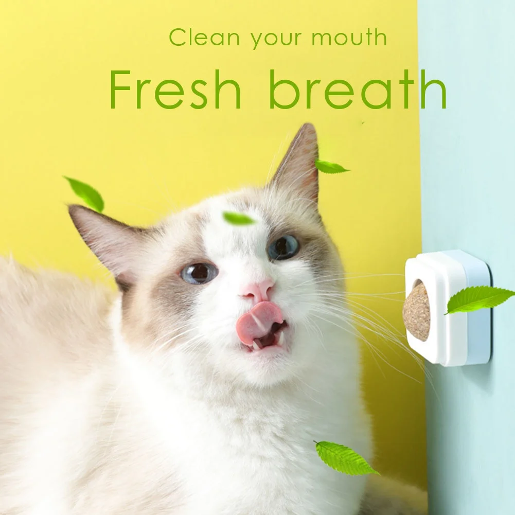 3 цвета, червь, Галл, фрукты, игрушки для кошек, котят, жевательные игрушки, мята, мяч, игра, игрушка для домашних животных, съедобное средство ...
3 цвета, червь, Галл, фрукты, игрушки для кошек, котят, жевательные игрушки, мята, мяч, игра, игрушка для домашних животных, съедобное средство ...