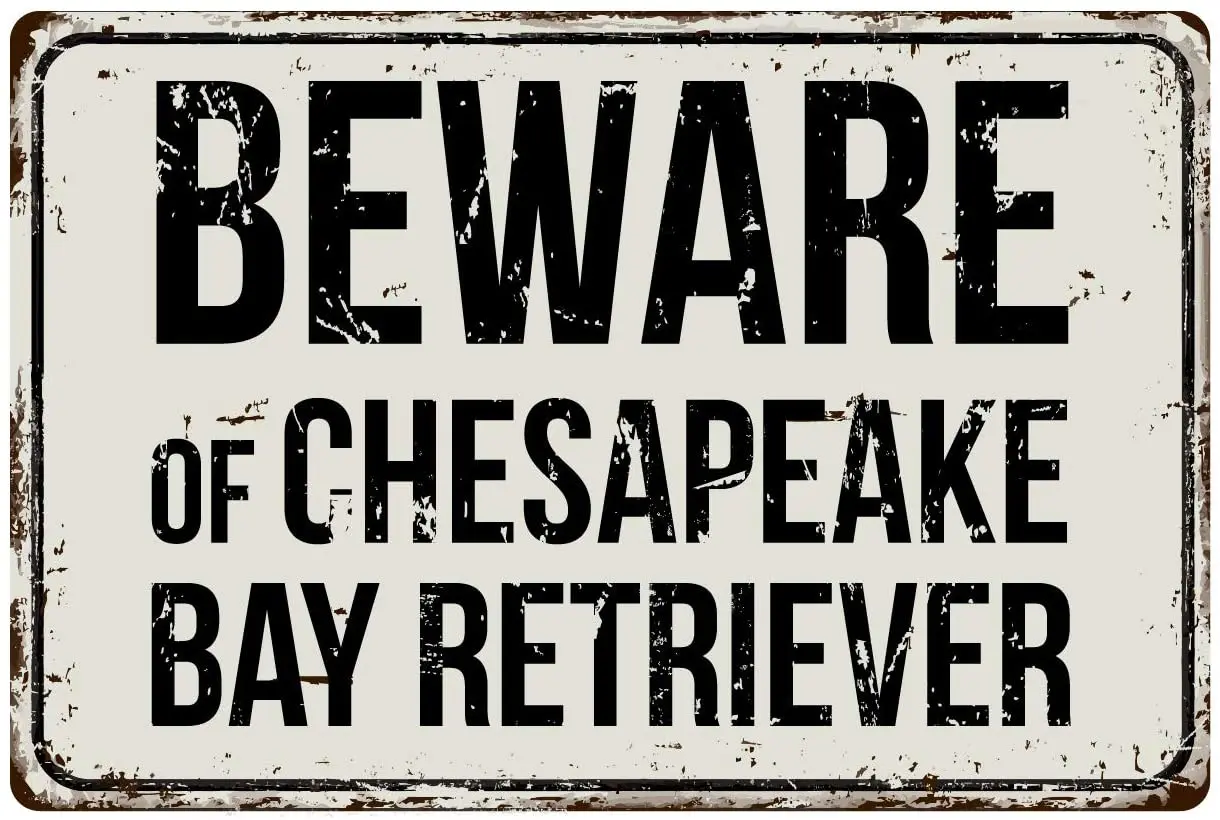 Deerts 204VS Beware of Chesapeake Bay Retriever 8 x 12 Vintage Aluminum Retro Metal Sign
Deerts 204VS Beware of Chesapeake Bay Retriever 8 x 12 Vintage Aluminum Retro Metal Sign