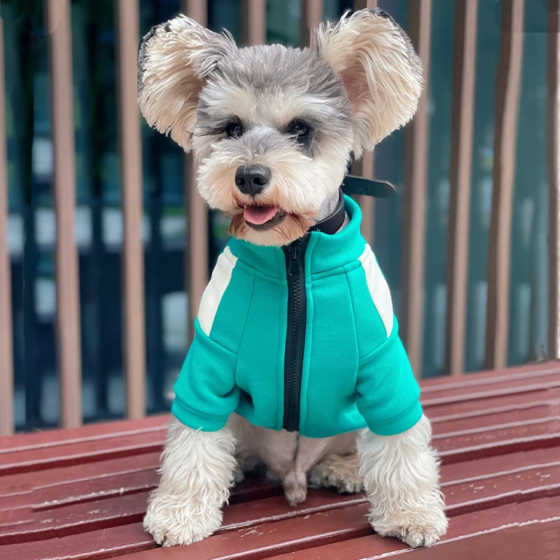 Лидер продаж, толстовка с капюшоном для собак из игры кальмар, теплый костюм для собаки, модный свитер для кошек, одежда для домашних животны...
Лидер продаж, толстовка с капюшоном для собак из игры кальмар, теплый костюм для собаки, модный свитер для кошек, одежда для домашних животны...