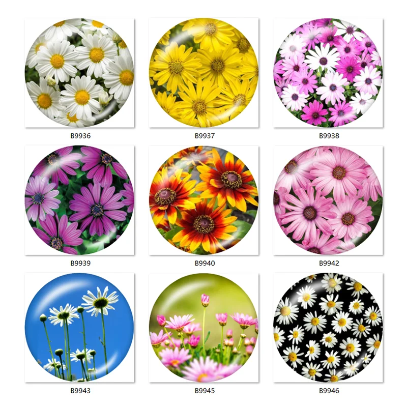 Daisy Sunflower beautiful 10pcs mixed 12mm/18mm/20mm/25mm Round photo glass cabochon demo flat back Making findings B9925
Daisy Sunflower beautiful 10pcs mixed 12mm/18mm/20mm/25mm Round photo glass cabochon demo flat back Making findings B9925