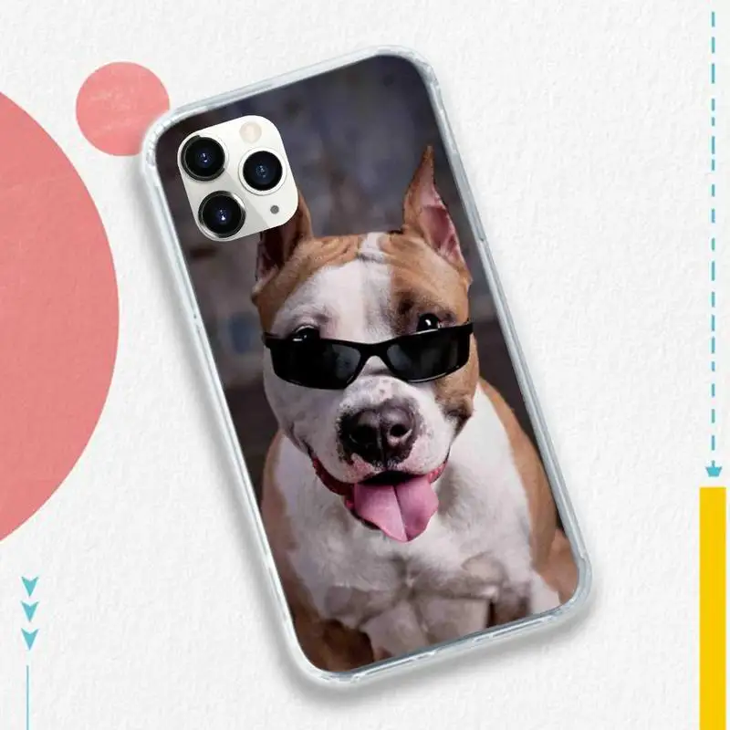 Pit Bull Lovely Pet Dog Pitbull Phone Case for iPhone 11 12 pro XS MAX 8 7 6 6S Plus X 5S SE 2020 XR
Pit Bull Lovely Pet Dog Pitbull Phone Case for iPhone 11 12 pro XS MAX 8 7 6 6S Plus X 5S SE 2020 XR