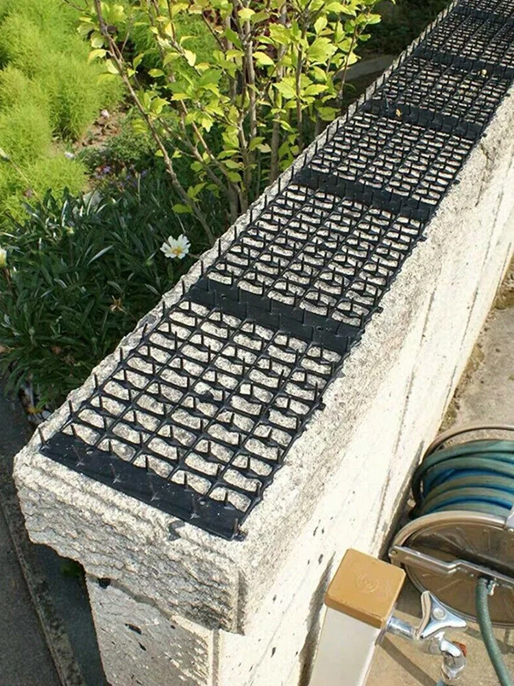 Garden Anti-cat Pricking Mat Expel Cat Pest Scat Deterrent Spike Pad Animal Scarer Outdoor Supplies Dropshipping 18MM*12CM*2m
Garden Anti-cat Pricking Mat Expel Cat Pest Scat Deterrent Spike Pad Animal Scarer Outdoor Supplies Dropshipping 18MM*12CM*2m