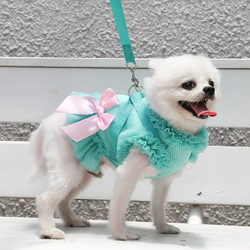 Dog Skirt Cat Breathable Chest Strap Traction Teddy Fighting Pet Spring Summer Autumn Clothing Supplies Dog Leash
Dog Skirt Cat Breathable Chest Strap Traction Teddy Fighting Pet Spring Summer Autumn Clothing Supplies Dog Leash