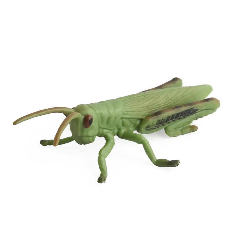 2021 New Science Simulation Insects Model Sand Plate Ornaments Animals Recognition Models Toys Early Education
2021 New Science Simulation Insects Model Sand Plate Ornaments Animals Recognition Models Toys Early Education